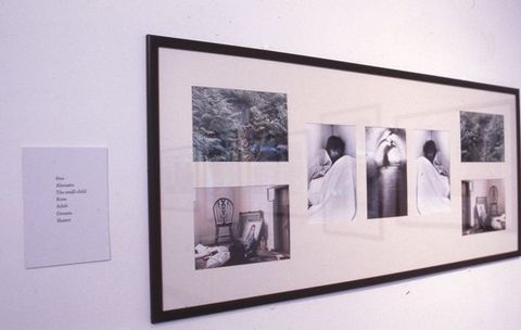 Installation photograph. Framed group of seven photographs, four square photographs flanking three portrait-orientated photographs. Upper two square photographs of woodland, lower two square photographs of an interior room. A child appears in two of the central tripych photographs, the centre tunnel scene shows a person in the distance. Label to the left of grouped photographs.