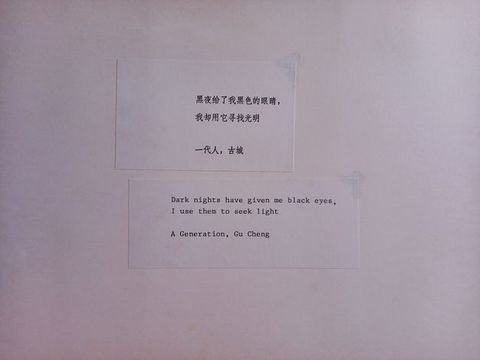 Black and white photograph. Two square-shaped labels, the top label showing Chinese writing, the lower label showing the English translation "Dark nights have given me black eyes, I use them to seek light".