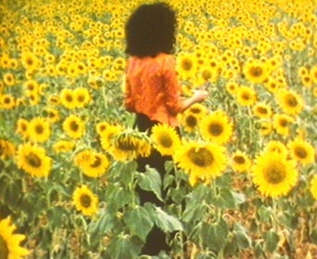 Colour film still. A field of yellow sunflowers surrounds a person with curly dark hair wearing a crinkled coral blouse and black trousers. Their back faces the camera, their right arm extended at 90 degrees.